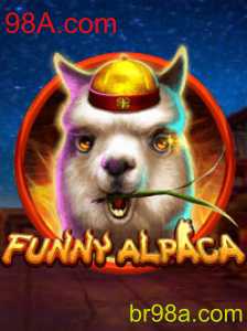 Explorando o Divertido Mundo de FunnyAlpaca